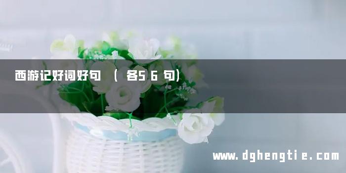 西游记好词好句 (各56句)